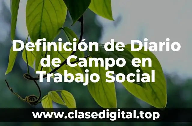Definición de Diario de Campo en Trabajo Social