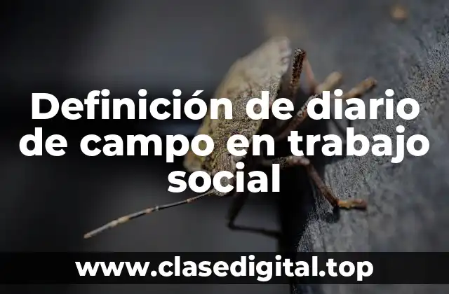 Definición técnica de diario de campo en trabajo social