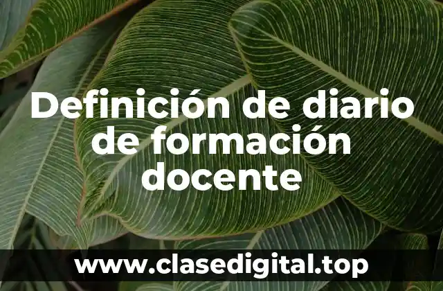 Definición de diario de formación docente
