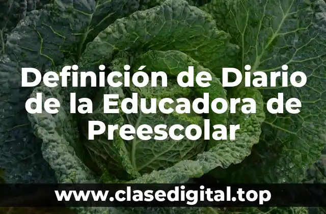 Definición de Diario de la Educadora de Preescolar