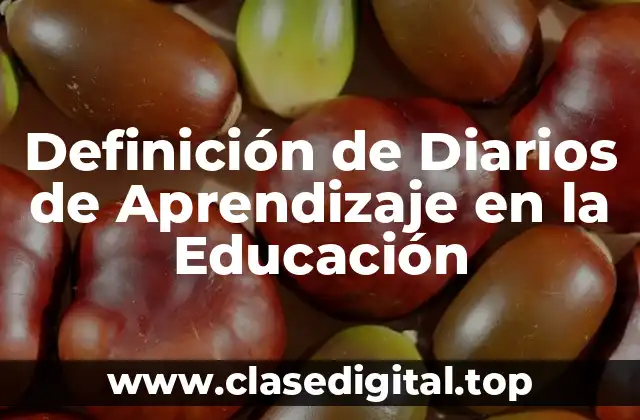 Definición de Diarios de Aprendizaje en la Educación