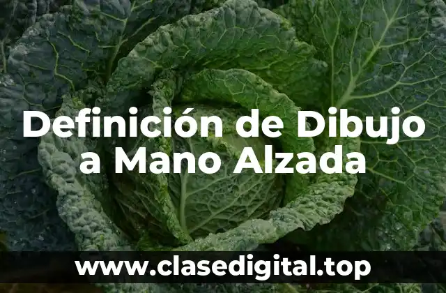 Ejemplos de Dibujo a Mano Alzada