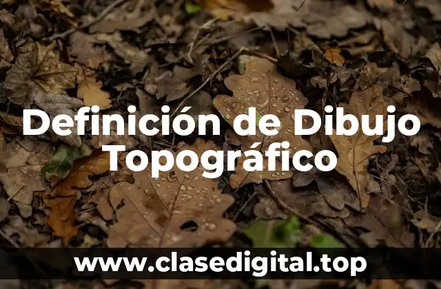 Definición técnica de dibujo topográfico