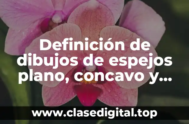 Definición de dibujos de espejos plano, concavo y convexo