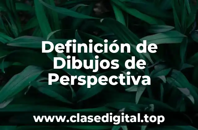 Definición de Dibujos de Perspectiva