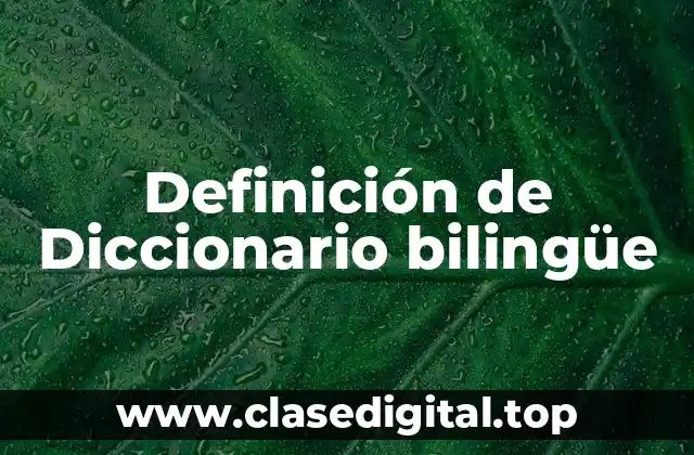 Definición técnica de diccionario bilingüe