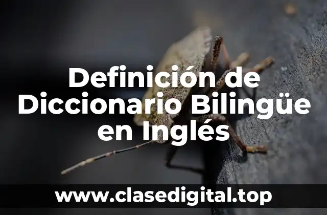 Definición de Diccionario Bilingüe en Inglés