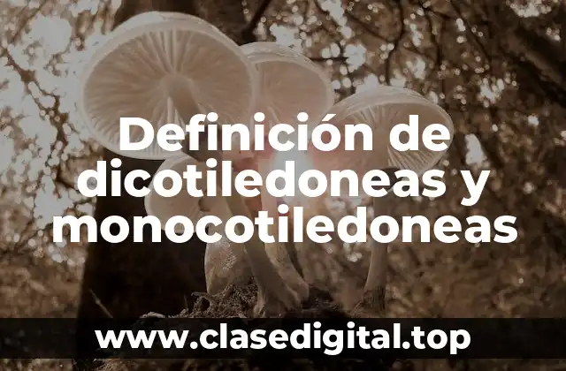 Ejemplos de dicotiledoneas y monocotiledoneas