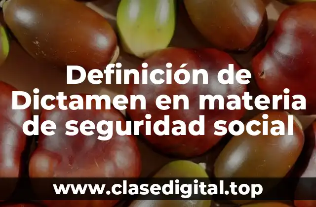 Definición de Dictamen en materia de seguridad social