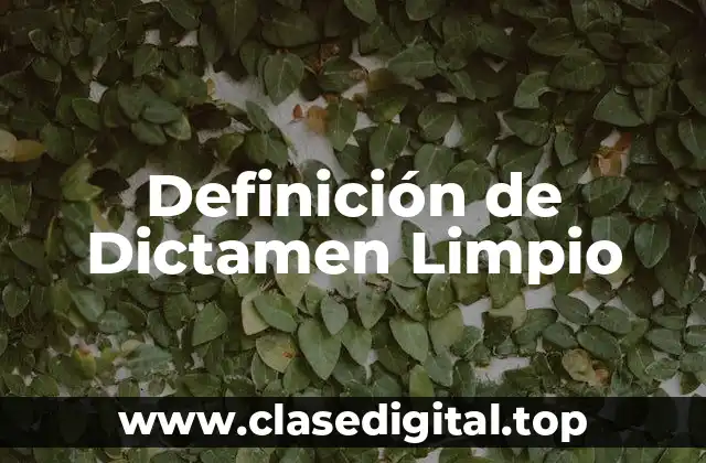 Definición Técnica de Dictamen Limpio