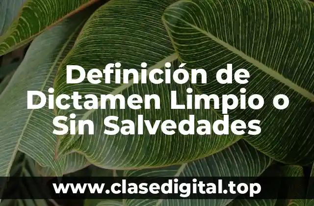Definición de Dictamen Limpio o Sin Salvedades