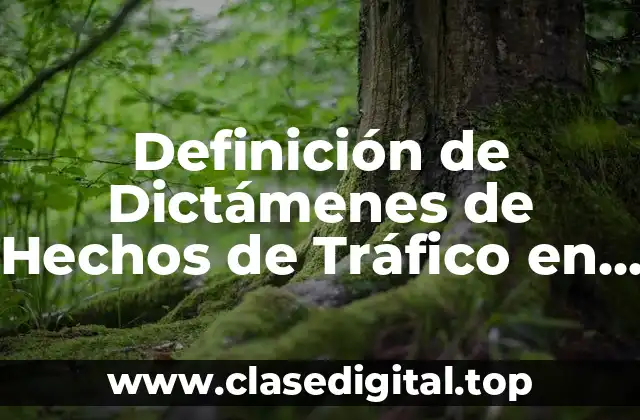 Definición de Dictámenes de Hechos de Tráfico en Yucatán