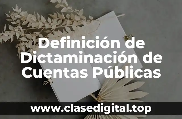 Definición de Dictaminación de Cuentas Públicas