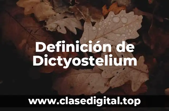 Definición de Dictyostelium