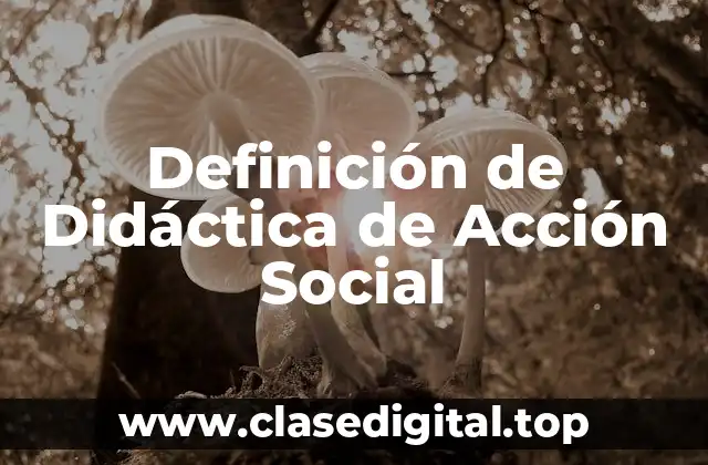Definición de Didáctica de Acción Social
