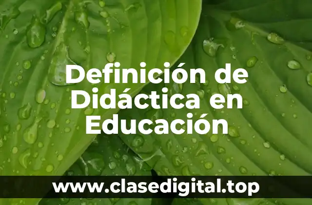 Definición de Didáctica en Educación