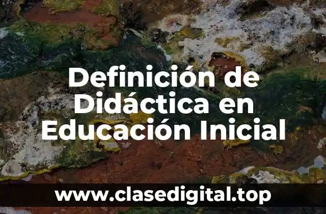 Definición de Didáctica en Educación Inicial