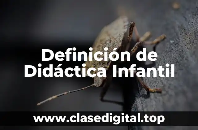 Definición técnica de Didáctica Infantil