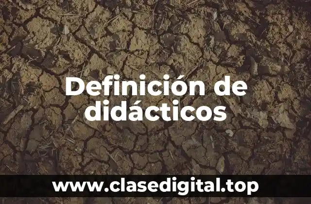 Definición de didácticos