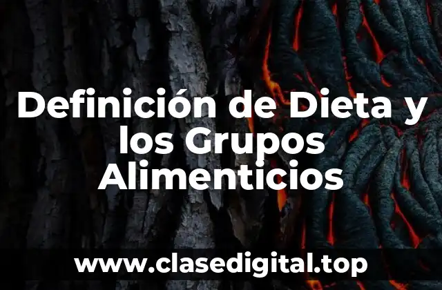 Definición de Dieta y los Grupos Alimenticios