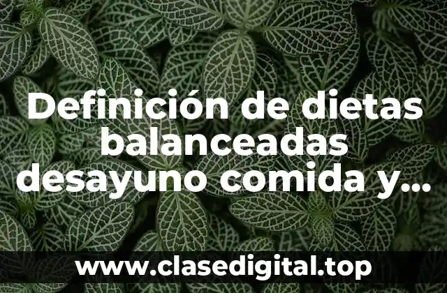Definición de dietas balanceadas desayuno comida y cena