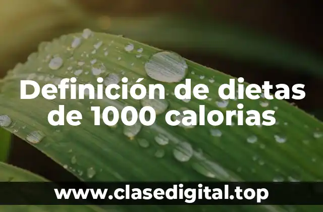 Definición de dietas de 1000 calorias