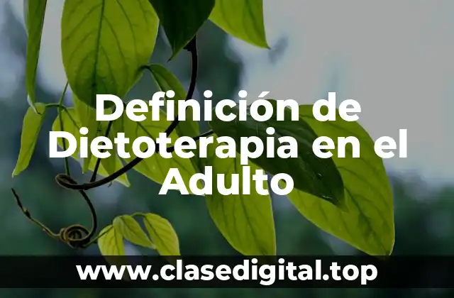 Definición de Dietoterapia en el Adulto