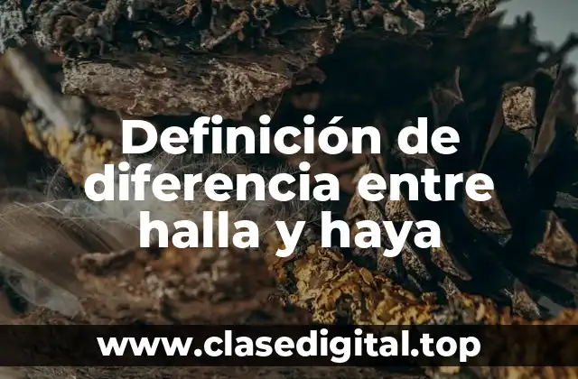 Definición de diferencia entre halla y haya