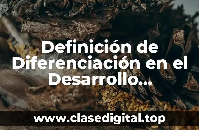 Definición de Diferenciación en el Desarrollo Embrionario
