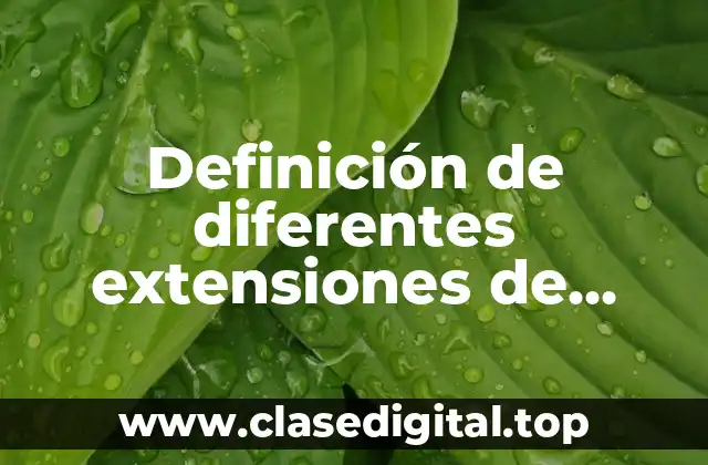 Definición de diferentes extensiones de archivos