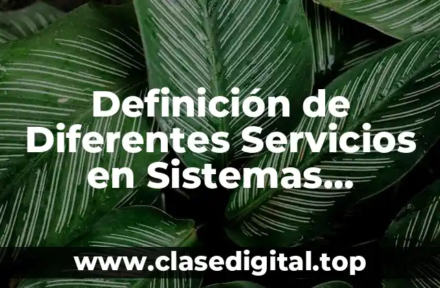Definición de Diferentes Servicios en Sistemas Distribuidos