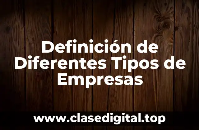 Definición de Diferentes Tipos de Empresas