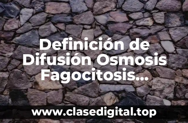 Definición de Difusión Osmosis Fagocitosis Pinocitosis