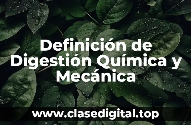 Definición de Digestión Química y Mecánica