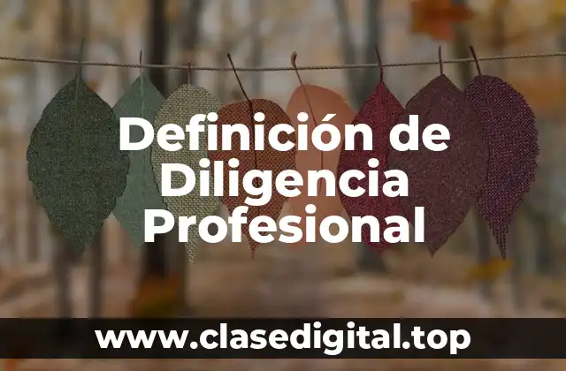 Definición de Diligencia Profesional