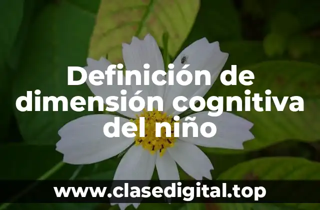 Definición de dimensión cognitiva del niño