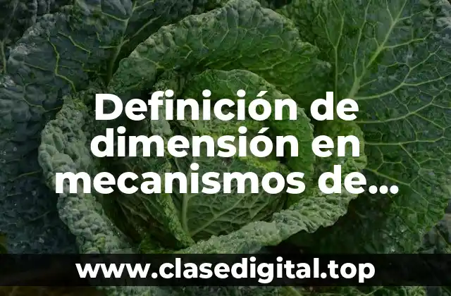 Definición de dimensión en mecanismos de transferencia