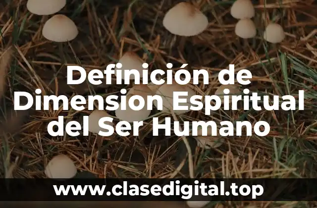 Definición de Dimension Espiritual del Ser Humano