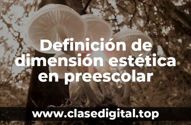 Definición de dimensión estética en preescolar