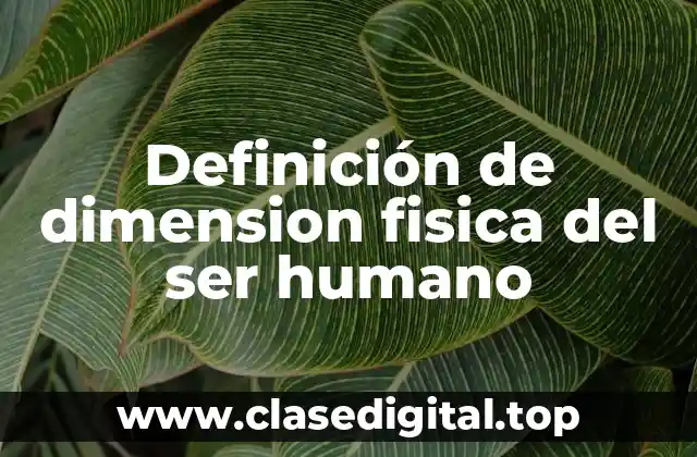 Definición de dimension fisica del ser humano