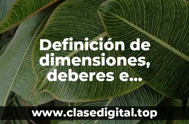 Definición de dimensiones, deberes e implicaciones de la ética profesional