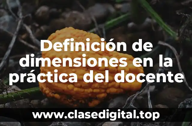 Definición de dimensiones en la práctica del docente