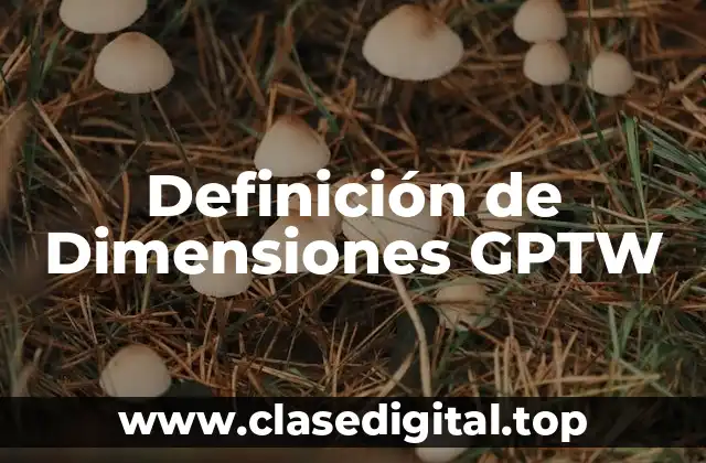 Definición de Dimensiones GPTW
