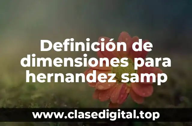 Definición técnica de dimensiones