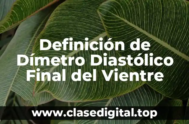 Definición de Dímetro Diastólico Final del Vientre