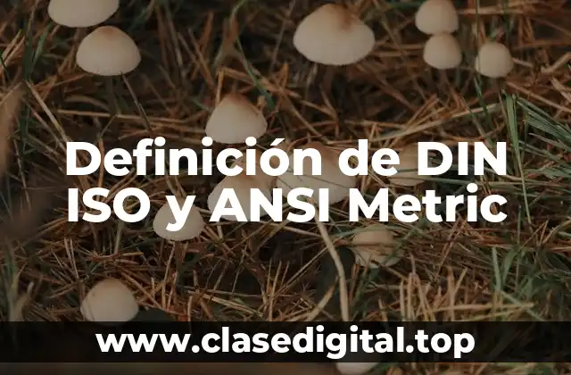 Definición de DIN ISO y ANSI Metric