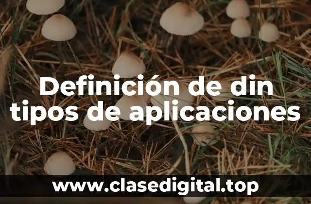 Definición de din tipos de aplicaciones