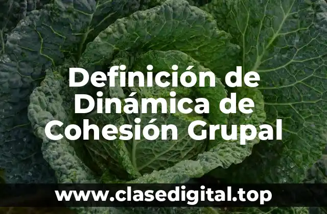 Definición de Dinámica de Cohesión Grupal