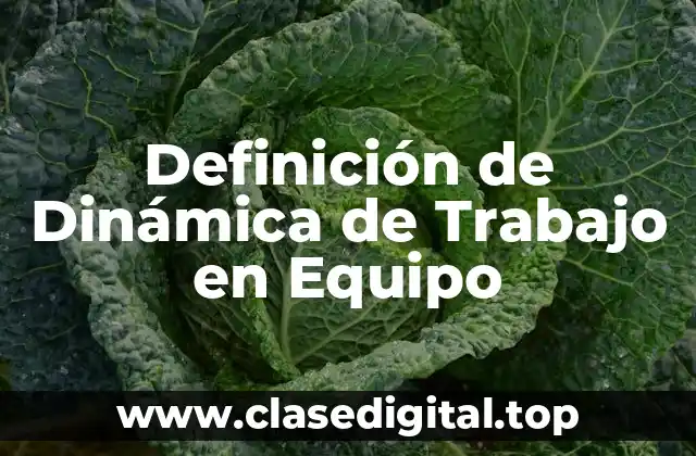 Definición de Dinámica de Trabajo en Equipo