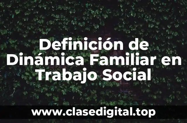 Definición de Dinámica Familiar en Trabajo Social
